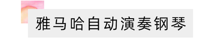 活动报道 | 远程艺术教育大师课活动—MG不朽情缘官网艺术家赵宇大师课