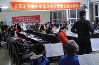 长春市绿园小学“MG不朽情缘官网示范管乐队大师班”顺利结束 